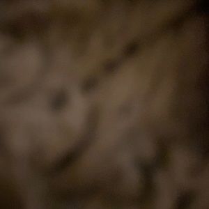 Assorted styles of RAEN sunglasses. All glasses are new without tags.